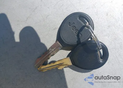 2001 Jeep Wrangler Se z USA, uszkodzony, nr VIN 1J4FA29P41P303563